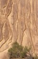 Thumbs/tn_gparches60.jpg