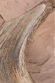 Thumbs/tn_gparches65.jpg