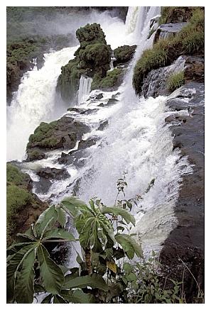 ../Images/gp-iguazu05.jpg