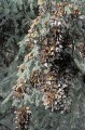 Thumbs/tn_gp-04.jpg