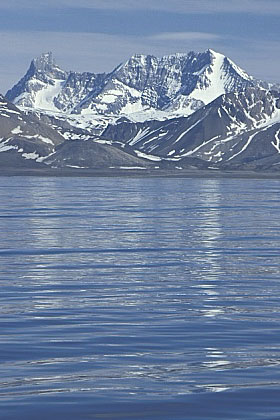 ../Images/fp-0001.jpg