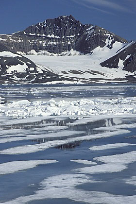 ../Images/fp-0002.jpg