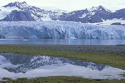 ../Images/fp-0005.jpg