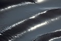 Thumbs/tn_fp-0008.jpg