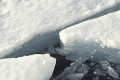Thumbs/tn_fp-0010.jpg