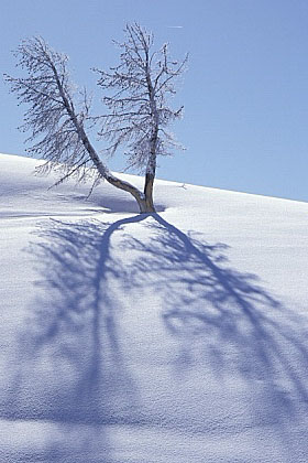 ../Images/fp-0001.jpg