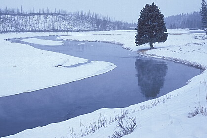 ../Images/fp-0004.jpg