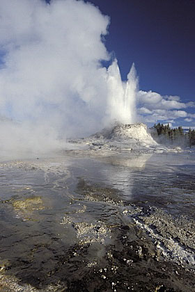 ../Images/fp-0010.jpg