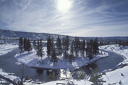 ../Images/fp-0015.jpg