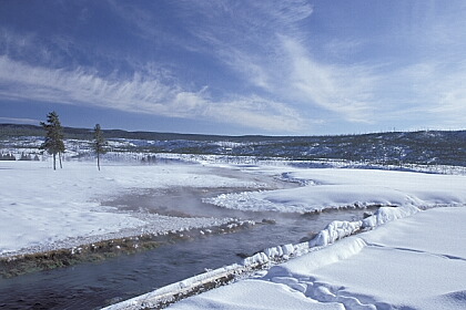../Images/fp-0016.jpg
