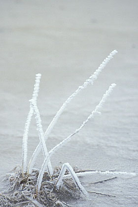../Images/fp-0017.jpg