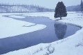 Thumbs/tn_fp-0004.jpg