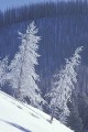 Thumbs/tn_fp-0005.jpg