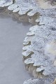 Thumbs/tn_fp-0020.jpg