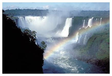 ../Images/iguaforest01.jpg