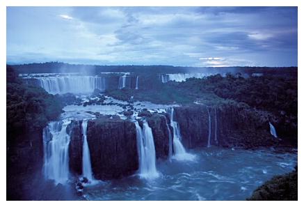 ../Images/iguaforest06.jpg