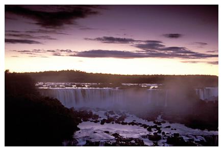 ../Images/iguaforest07.jpg