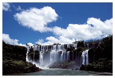 ../Images/iguaforest10.jpg