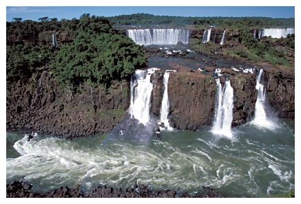 ../Images/iguaforest13.jpg