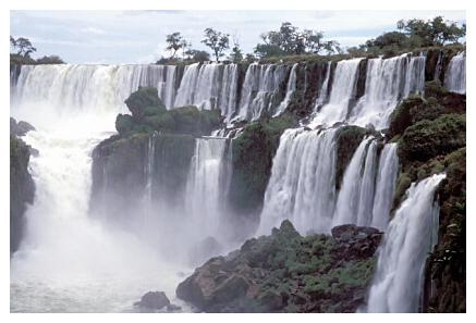 ../Images/iguaforest28.jpg