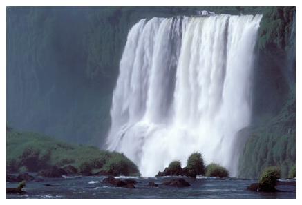../Images/iguaforest37.jpg