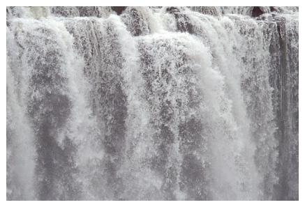 ../Images/iguaforest38.jpg