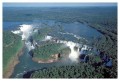 Thumbs/tn_iguaforest03.jpg