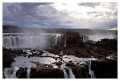 Thumbs/tn_iguaforest05.jpg