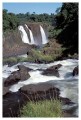 Thumbs/tn_iguaforest14.jpg