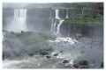 Thumbs/tn_iguaforest16.jpg