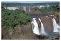 Thumbs/tn_iguaforest17.jpg