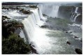 Thumbs/tn_iguaforest19.jpg