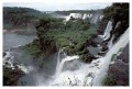 Thumbs/tn_iguaforest20.jpg