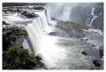 Thumbs/tn_iguaforest22.jpg