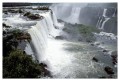 Thumbs/tn_iguaforest23.jpg
