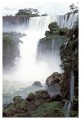 Thumbs/tn_iguaforest26.jpg