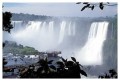 Thumbs/tn_iguaforest27.jpg