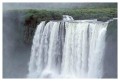 Thumbs/tn_iguaforest29.jpg
