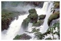 Thumbs/tn_iguaforest30.jpg
