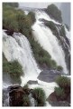 Thumbs/tn_iguaforest32.jpg