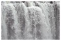 Thumbs/tn_iguaforest38.jpg