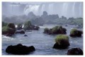 Thumbs/tn_iguaforest40.jpg