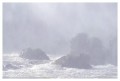 Thumbs/tn_iguaforest41.jpg