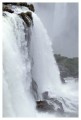 Thumbs/tn_iguaforest45.jpg