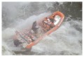 Thumbs/tn_iguaforest63.jpg
