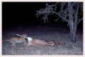 Thumbs/tn_leoparden020.jpg