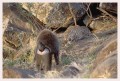Thumbs/tn_leoparden039.jpg
