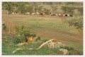 Thumbs/tn_leoparden087.jpg