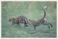 Thumbs/tn_leoparden130.jpg