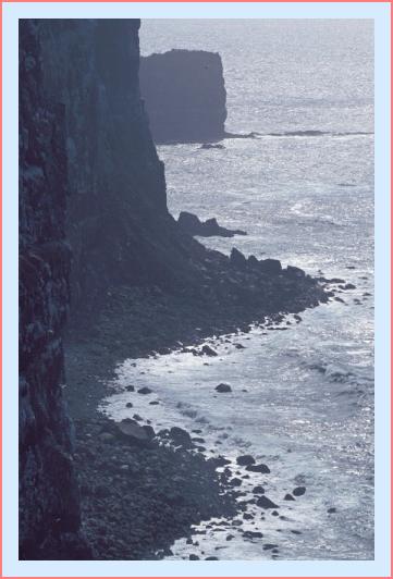../Images/puffin06.jpg